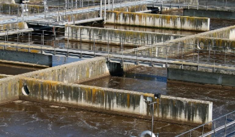Bakteri Pengurai Limbah untuk WTP/WWTP/WTP