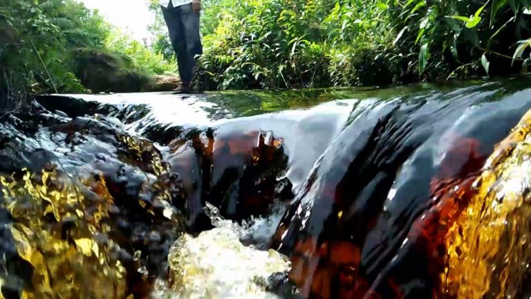 Mesin RO yang Cocok Untuk Kawasan Kalimantan