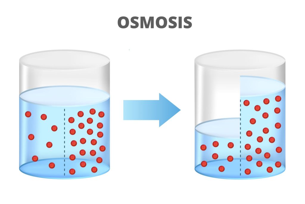 osmosis ro
